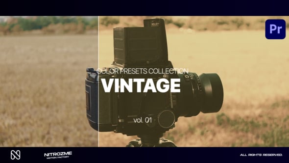 Vintage LUT Collection Vol. 01 for Premiere Pro（035540）-技能树